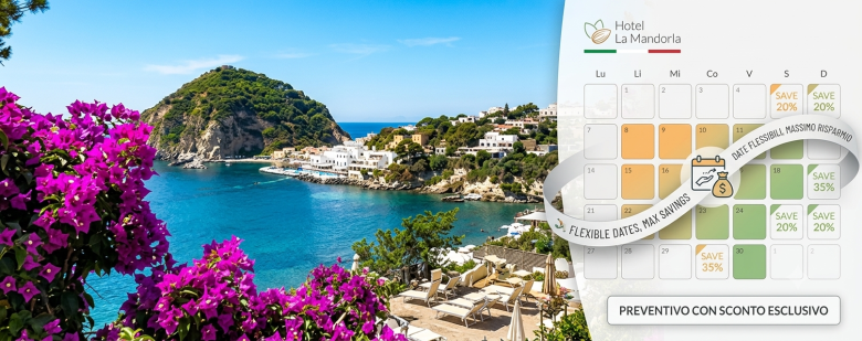 DATE FLESSIBILI? REGALATI UN SUPER SCONTO A ISCHIA!